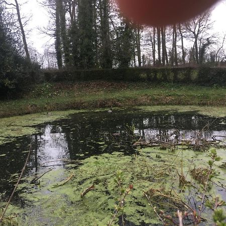 فيلا Le Colombier De Royaumont Saint-Arnoult  المظهر الخارجي الصورة