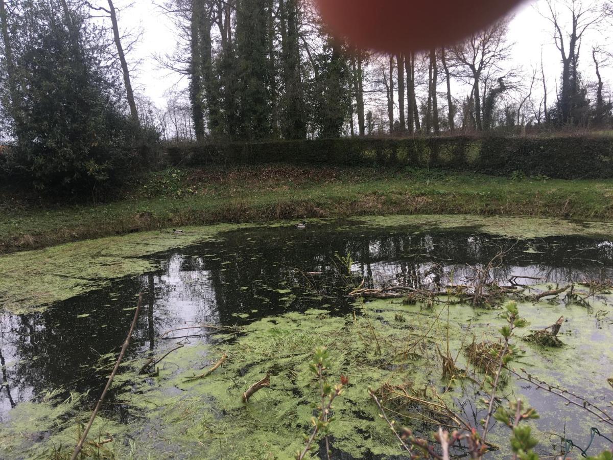 فيلا Le Colombier De Royaumont Saint-Arnoult  المظهر الخارجي الصورة